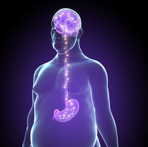 Anneau gastrique virtuel : de quoi s'agit-il, et dans quels cas cette approche peut-elle être proposée ?